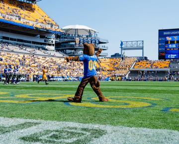 The back of Roc the Panther on the football field with fans in the stands.